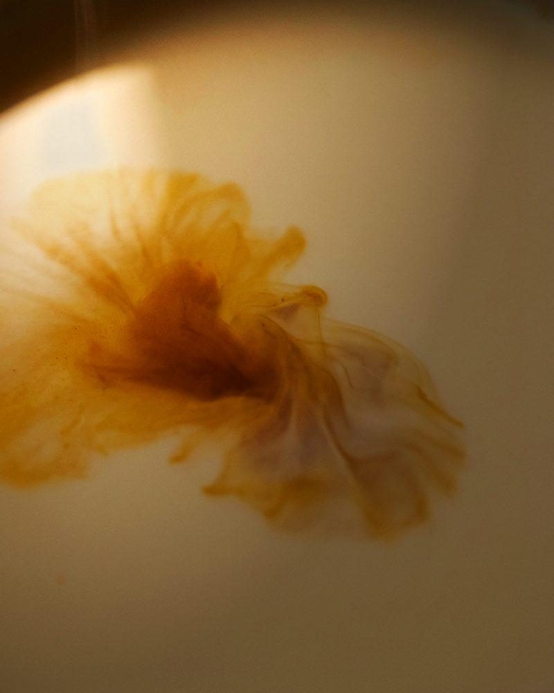 Turmeric blooming in milk